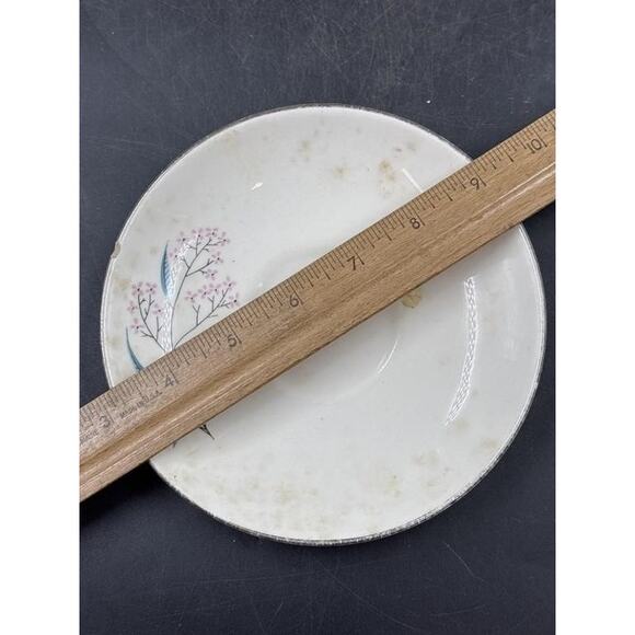 Alliance China Co. Regal Hand Decorated China Set - Platinum Rim -Chip on Saucer - Picture 3 of 16